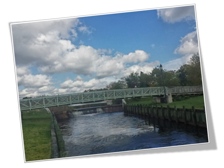 Stafford NJ Real Estate | Manahawkin NJ | Beach Haven West | Ocean Acres